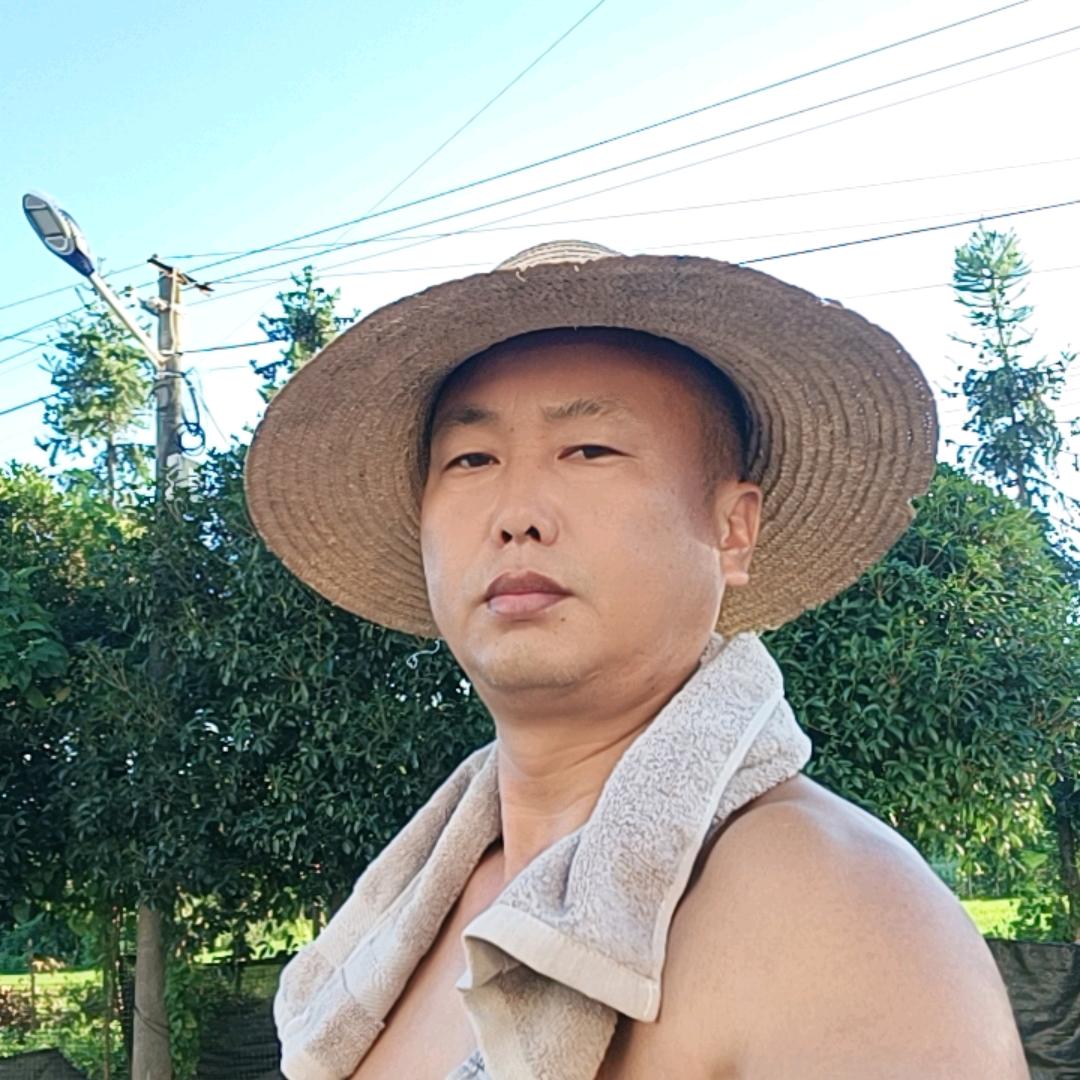 鸿晨客
