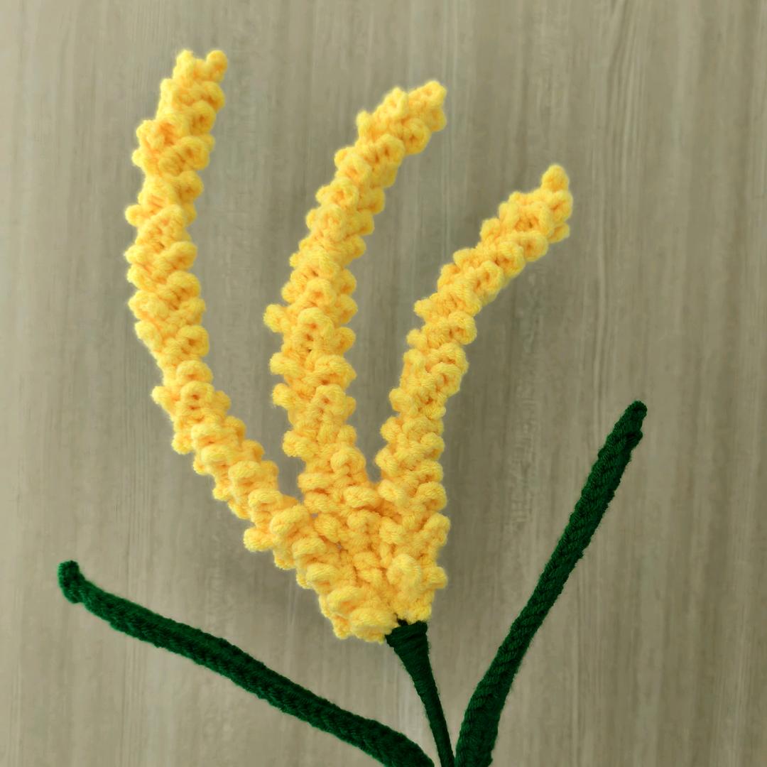 李兰兰