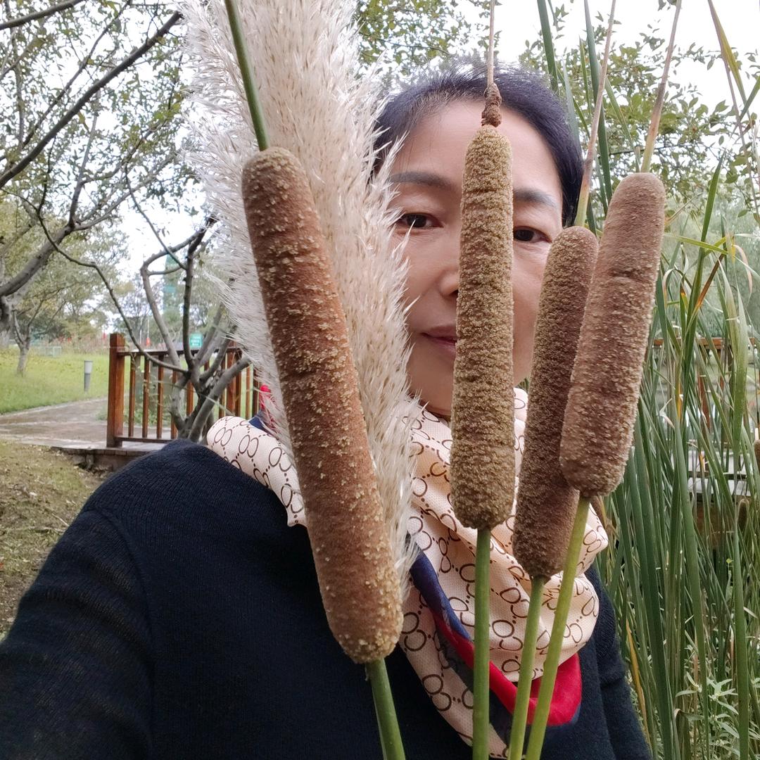一半烟火，一半禅意