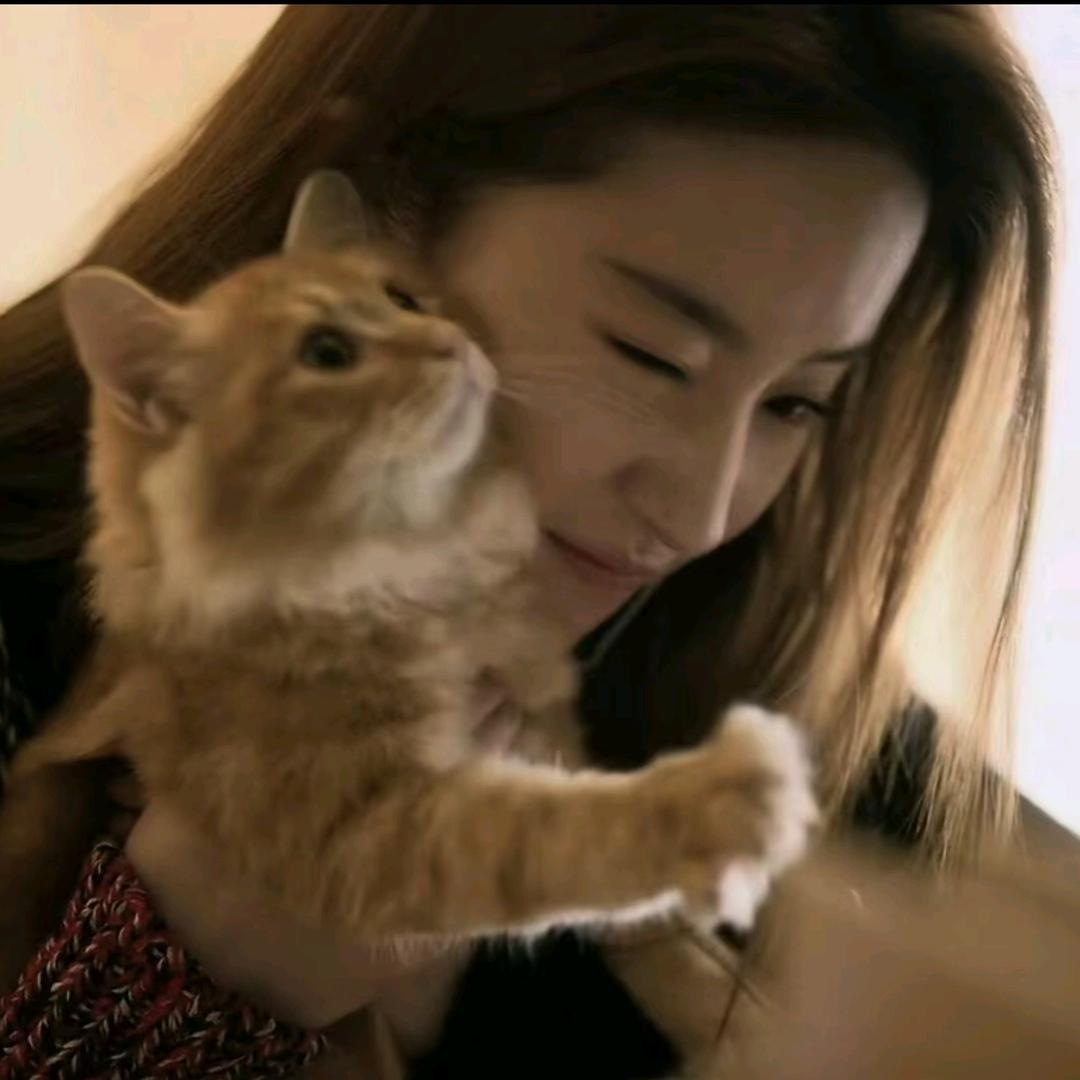 哦可以我知道了谢谢