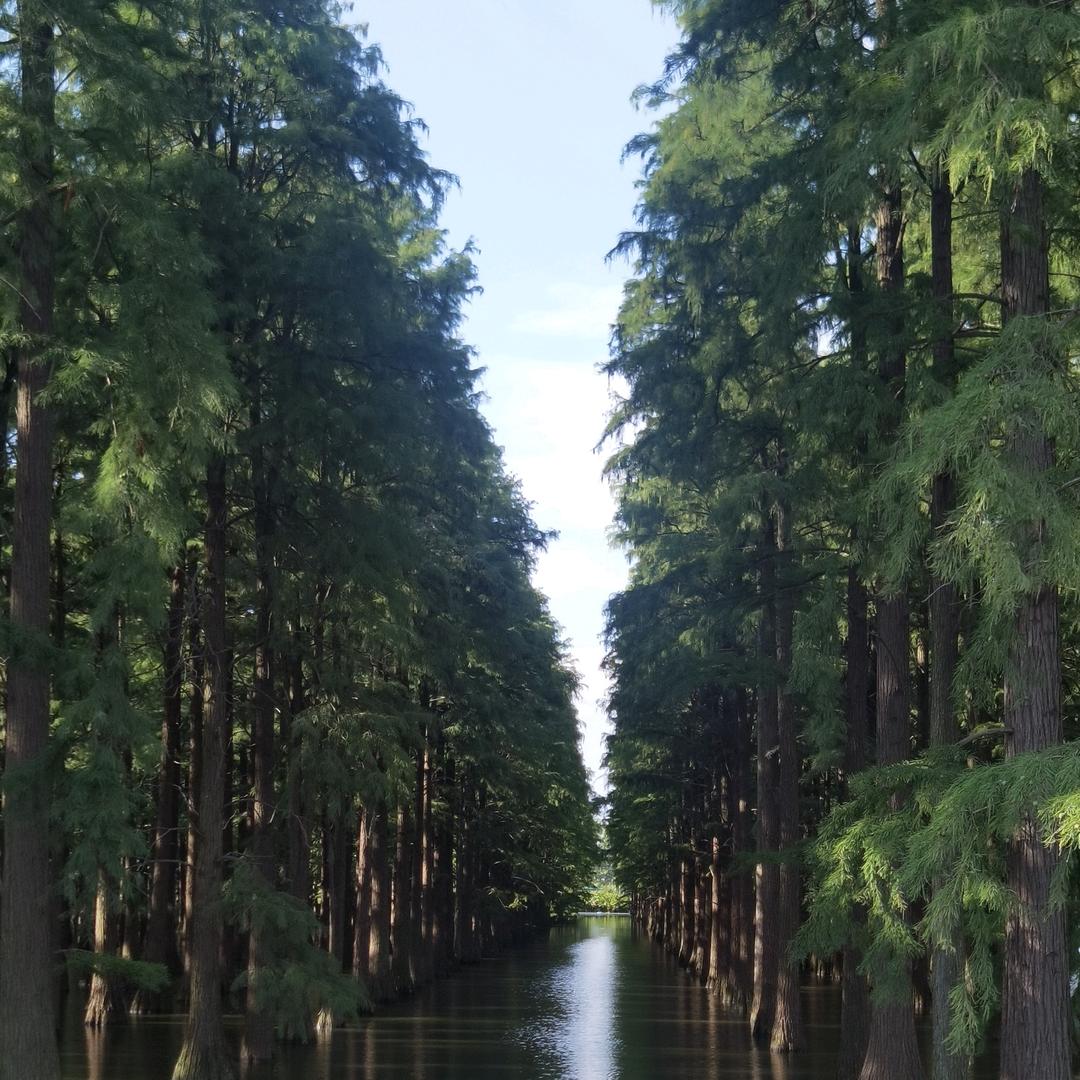 尐靑姩（拒绝连赞）