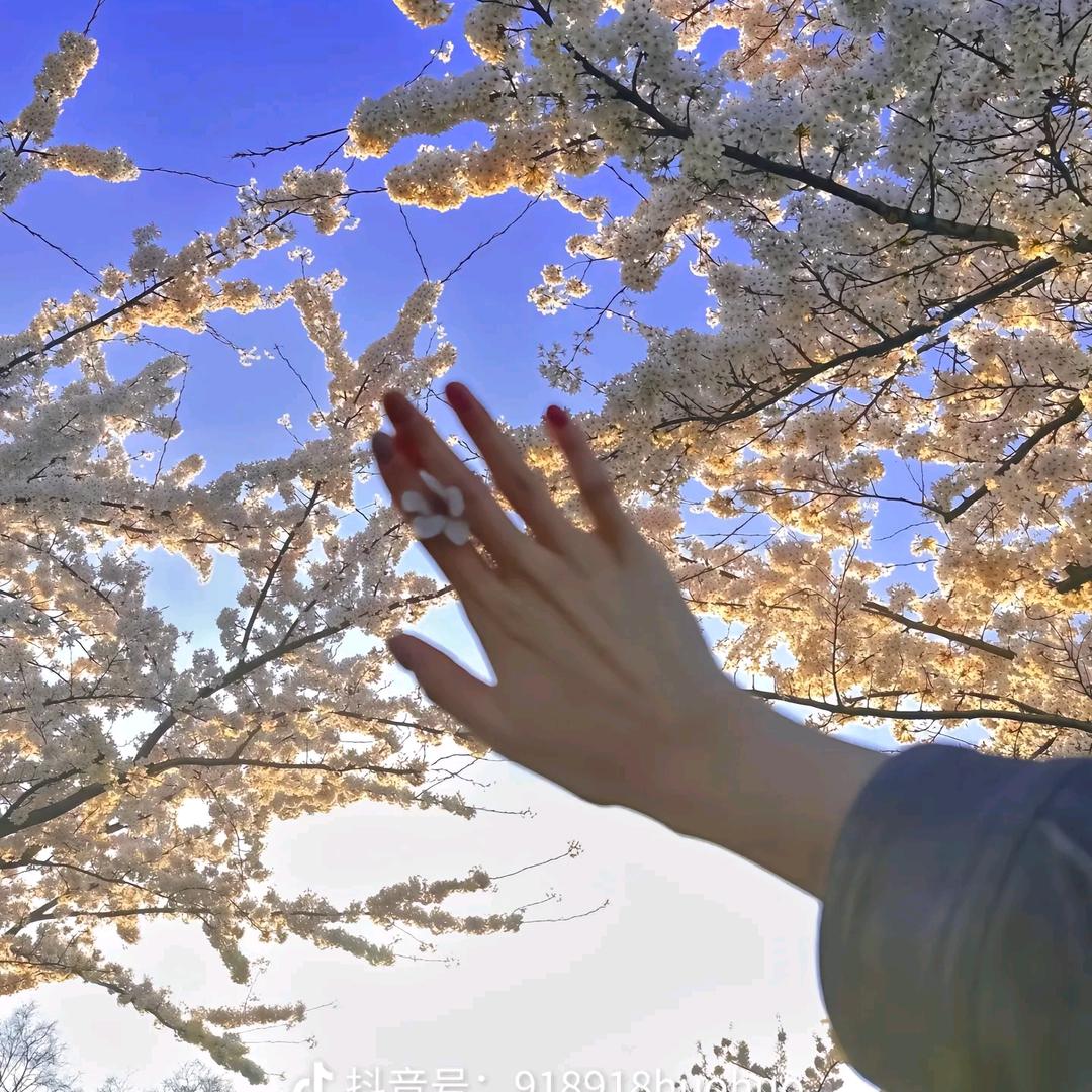 青夏123456