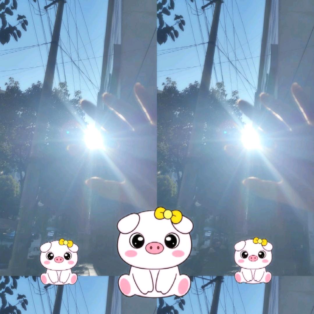 瑶❤️❤️瑶瑶