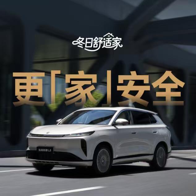 热爱汽车的小伙子！