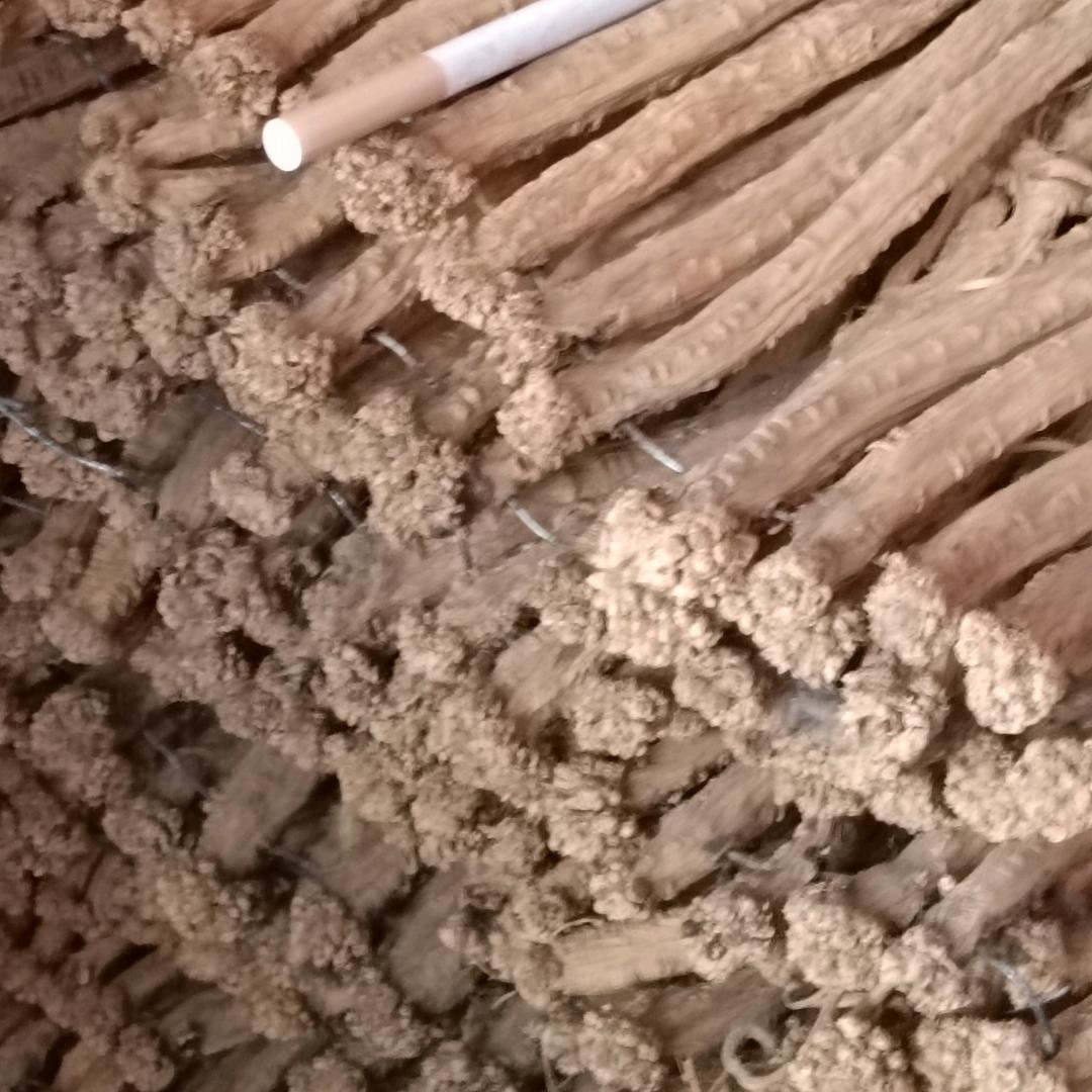 指尖上的音弦