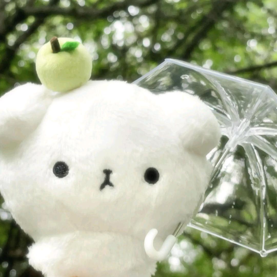 小洁没有洗洁精