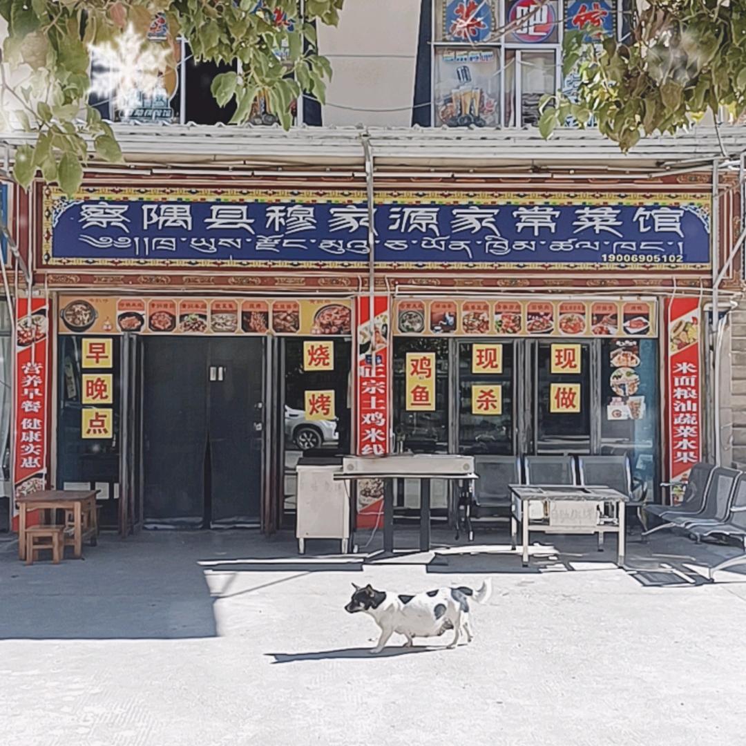 丙察察老兵饭店