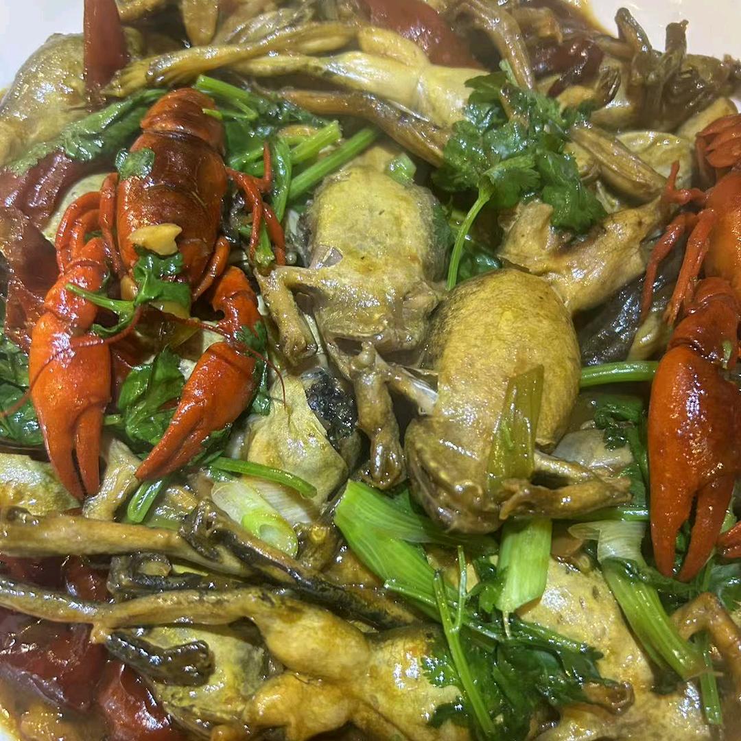 长白山下万宝蛤蟆