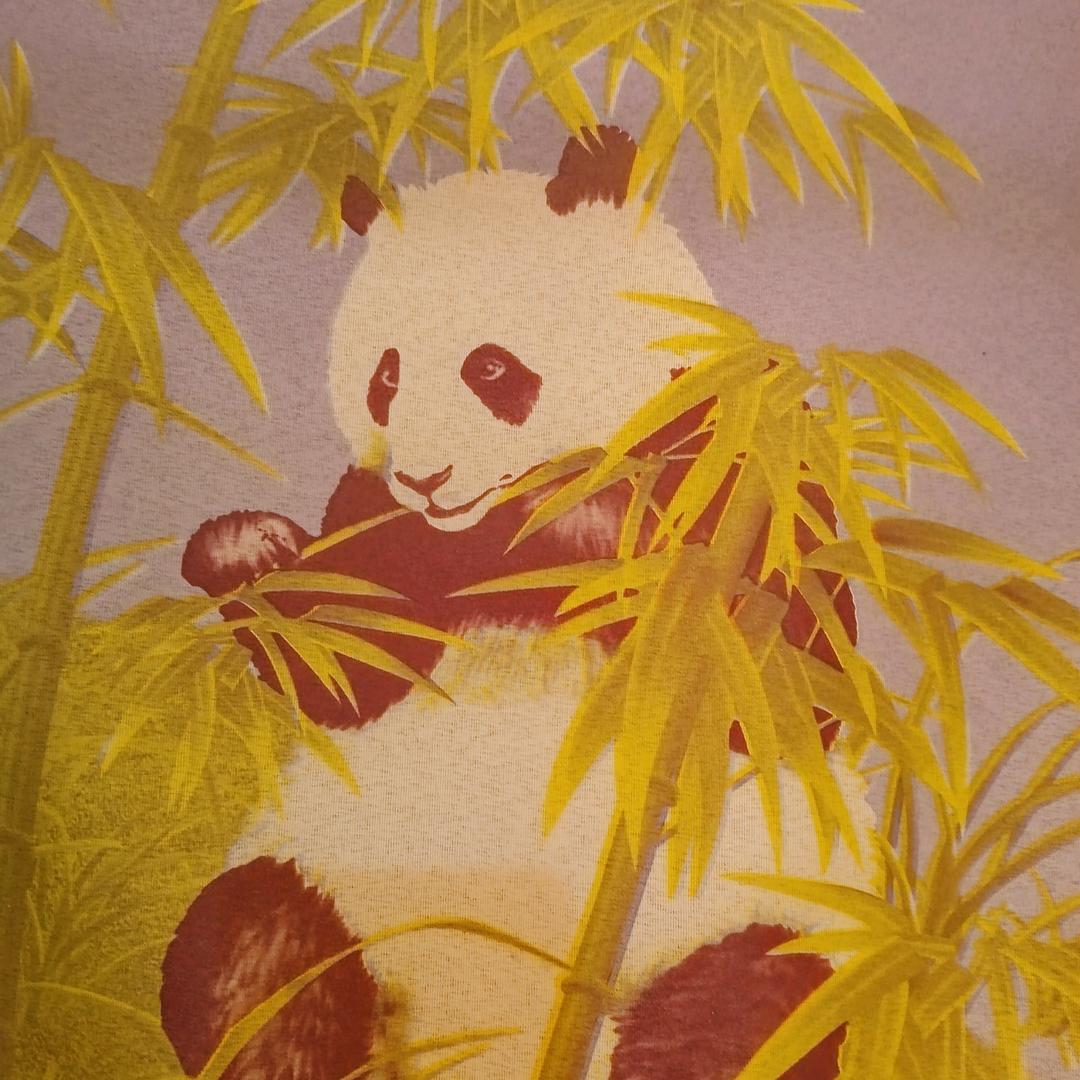 容姐姐