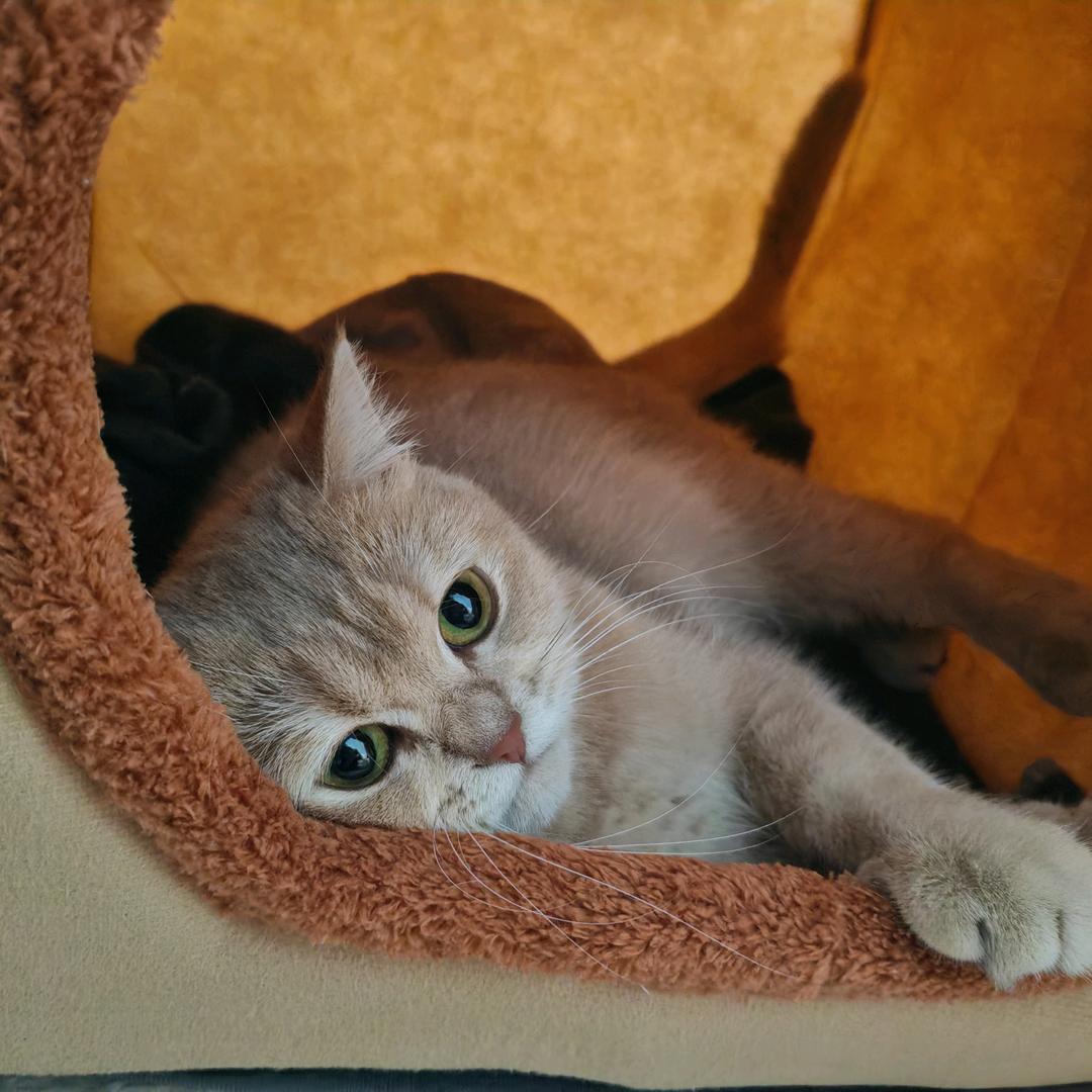 元元一岁生日快乐