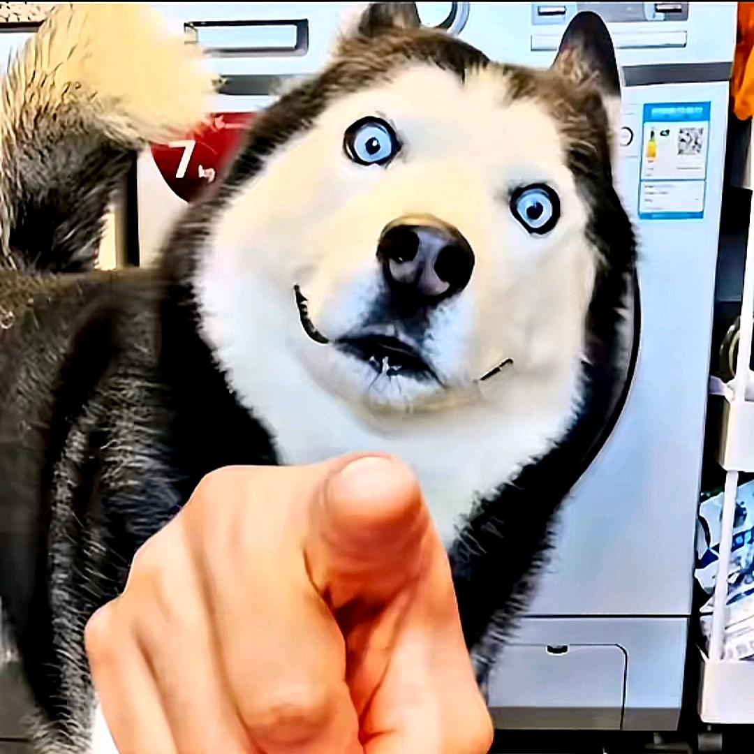 AI爱哥
