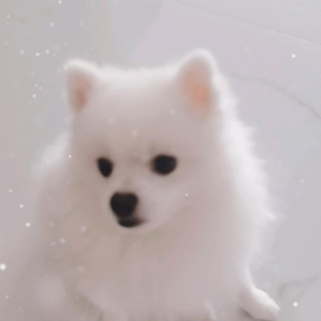 用户127548763
