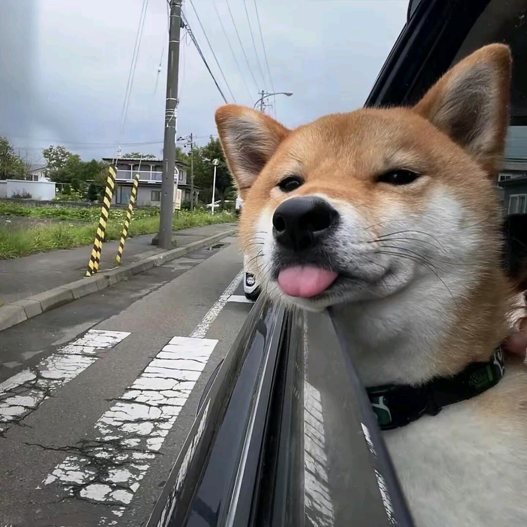 十四