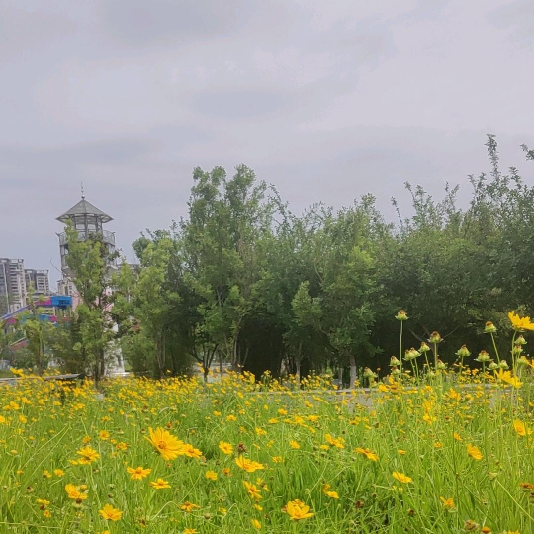 🀄🀄🀄🐯🐯🐯🐯