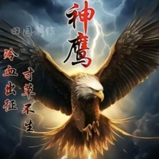 神鹰 手哥@抖音