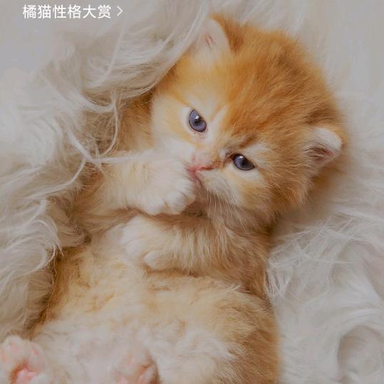 科学不靠边