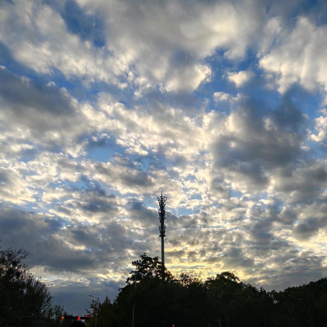 挠头屑堆成雪球轰击你的面门