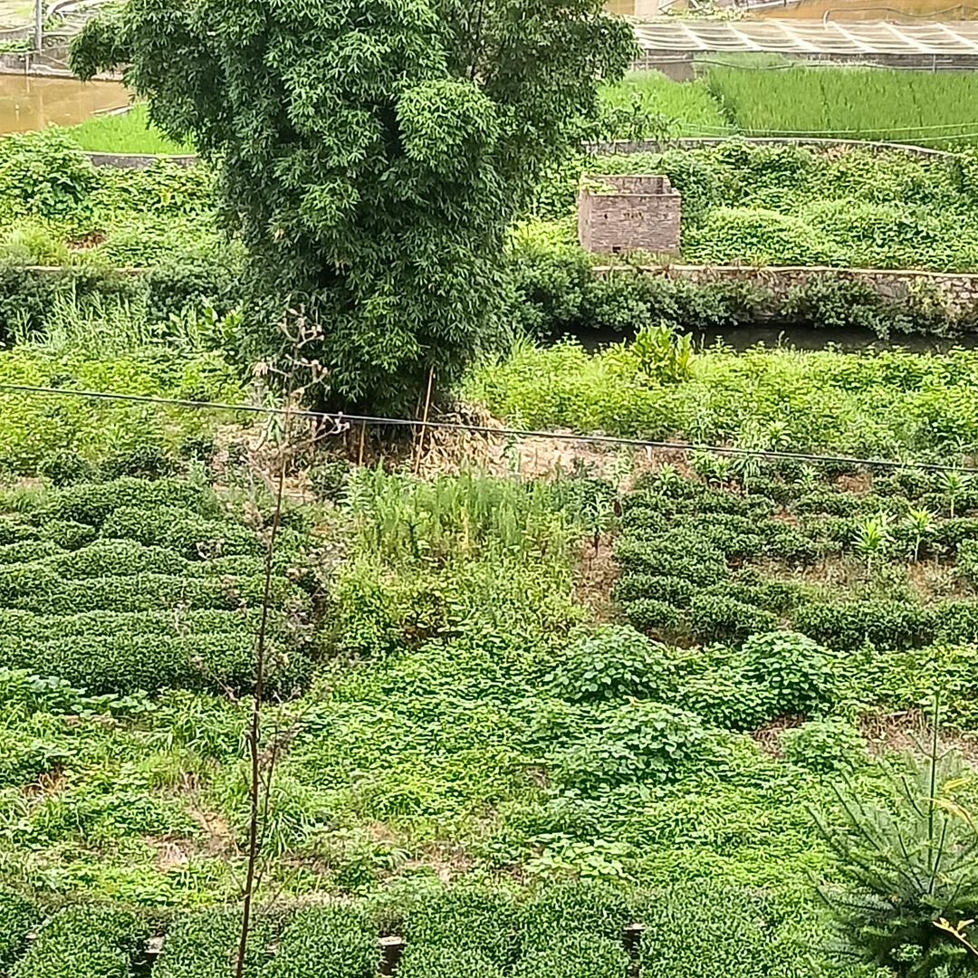 好好