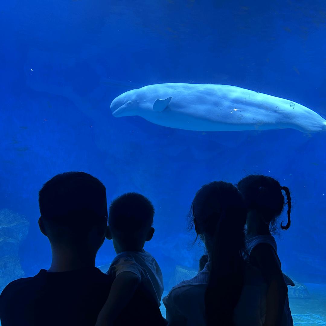 超大号大头爸爸