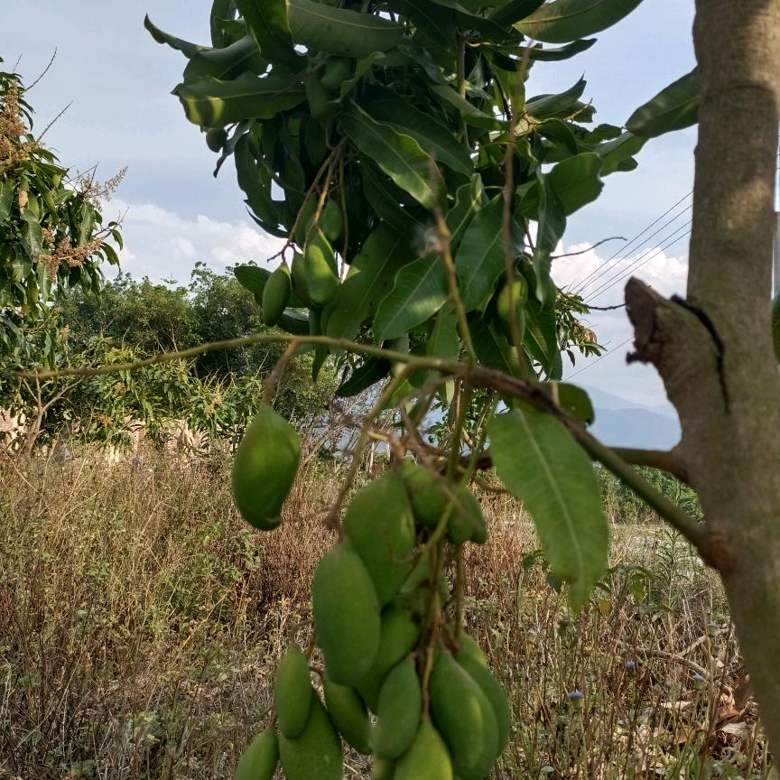 心若不动，风又奈我何，我若不伤，岁月无恙