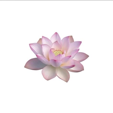 橘子.