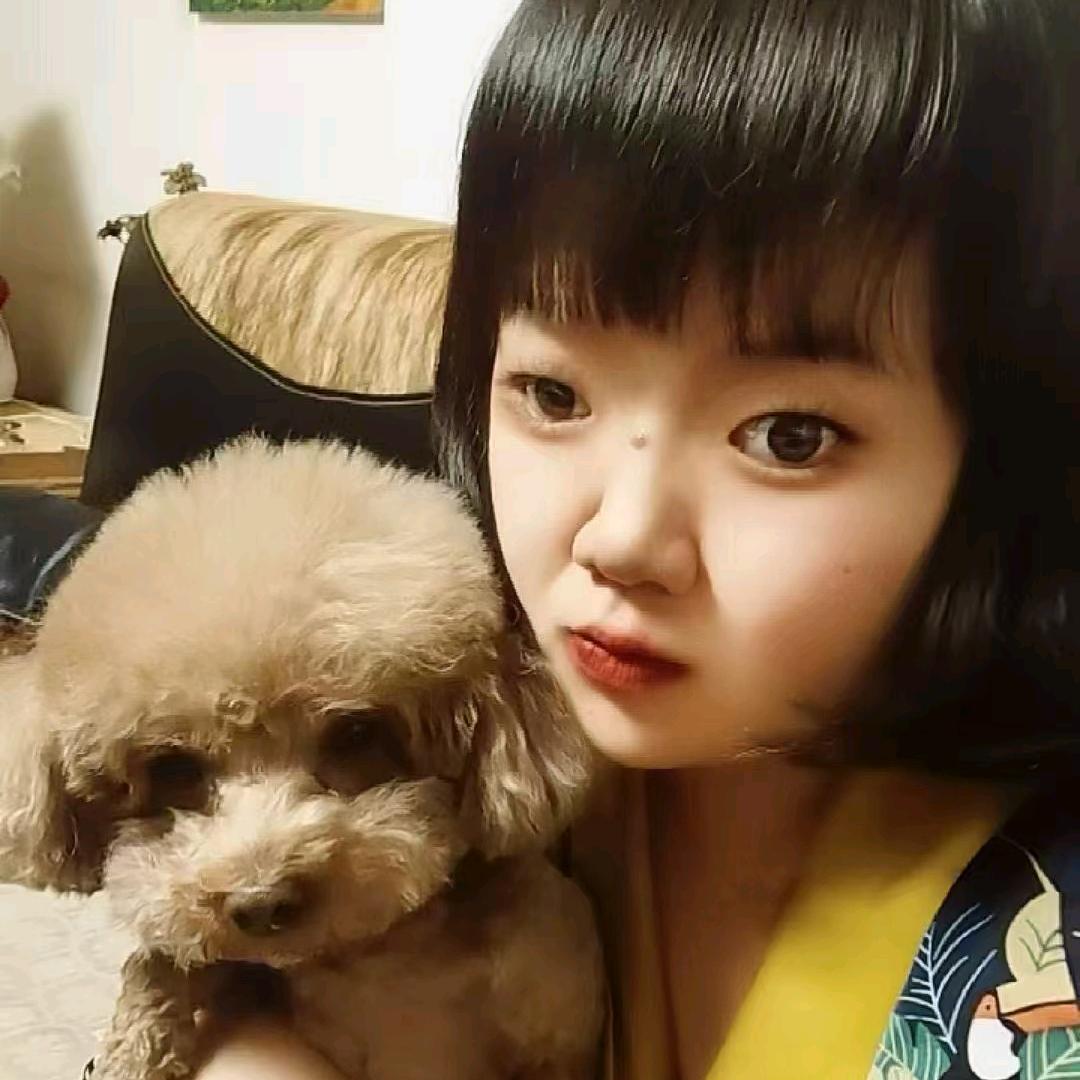 差不多的泰迪