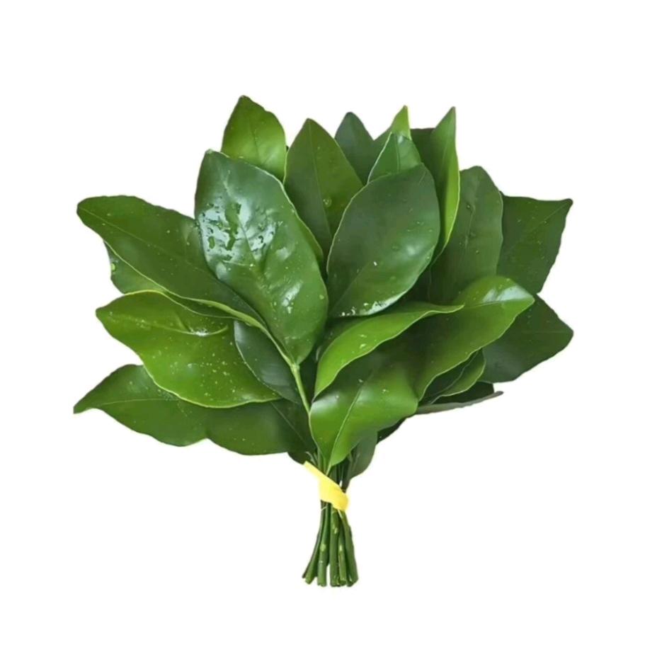 九小圈