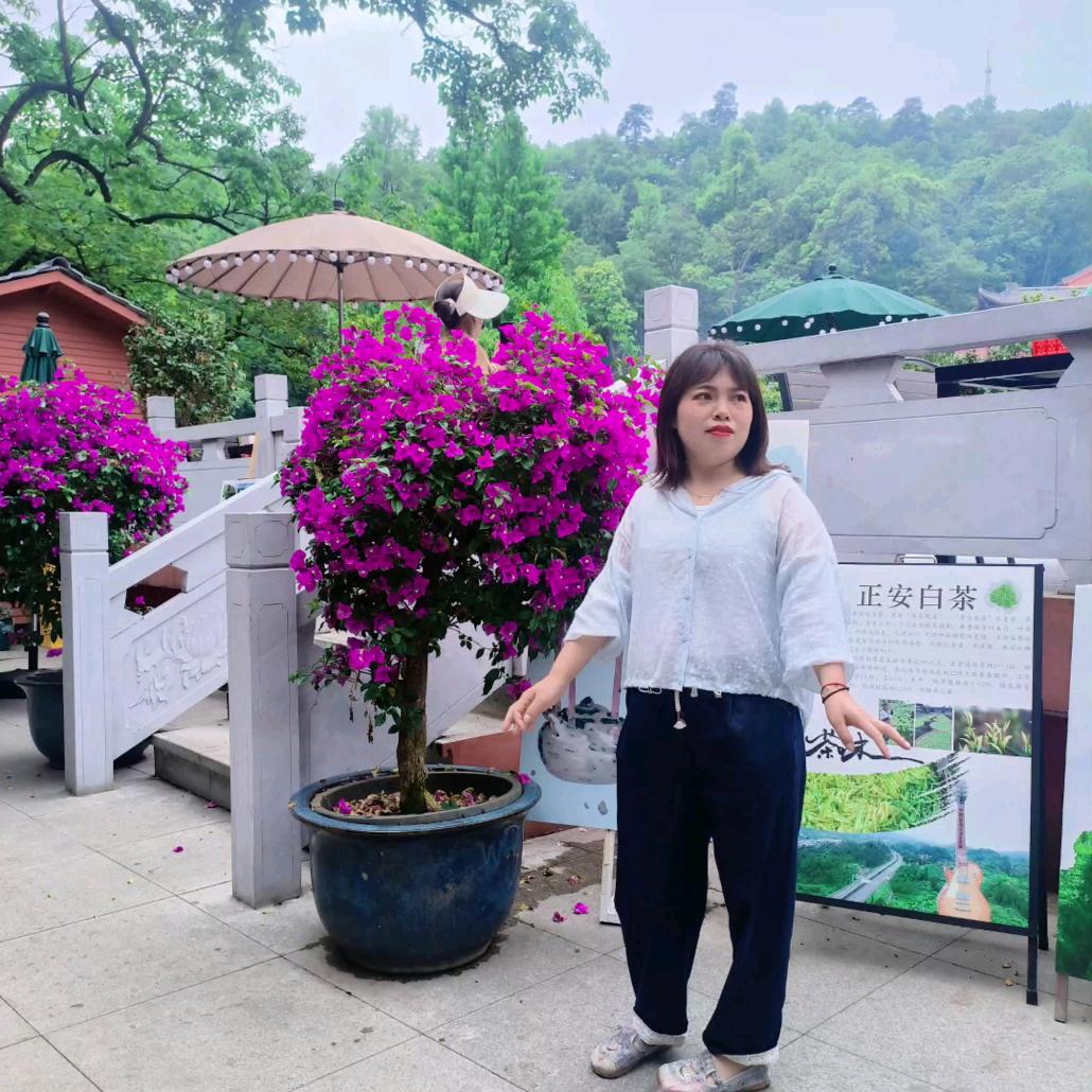 黑慧