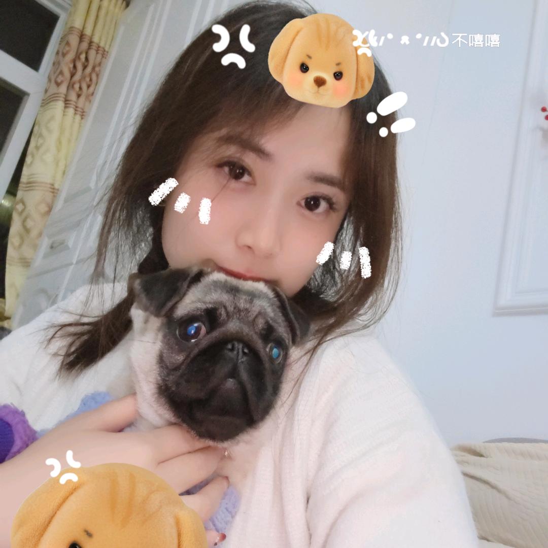 燕🕊️