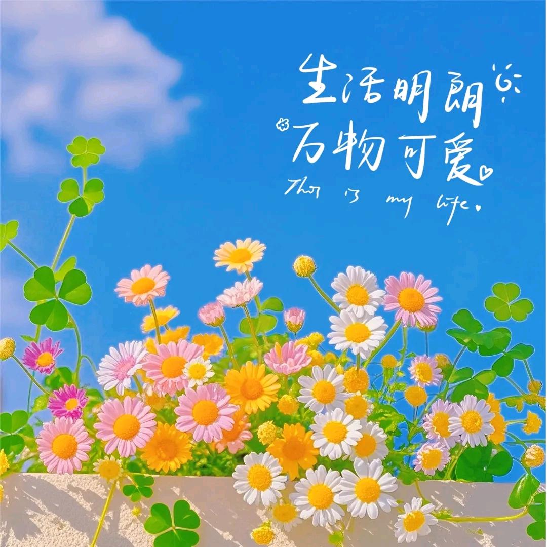 小米粥⭐
