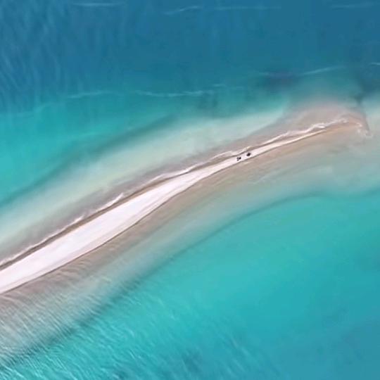 海豚叔叔在三娘湾