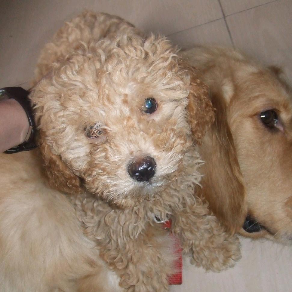 月亮不睡我不睡🥱