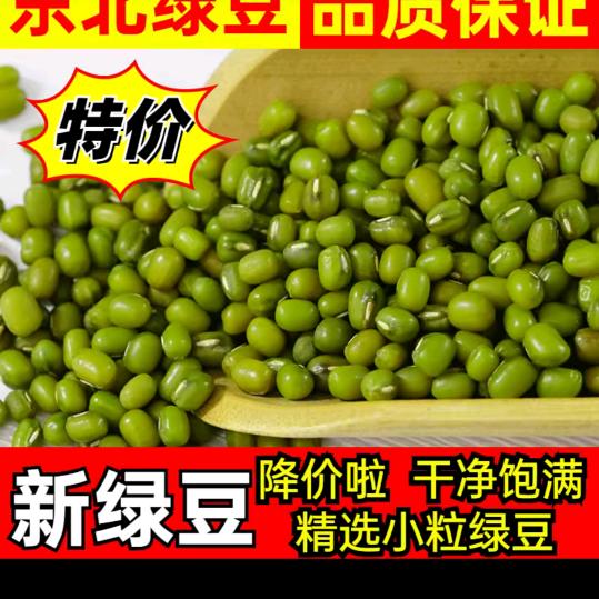 丰收豆业