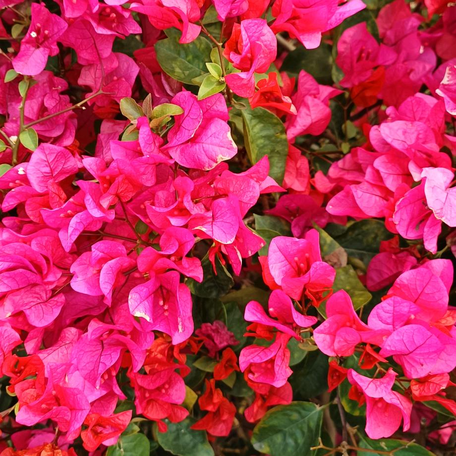 租房子是我们母女俩的家