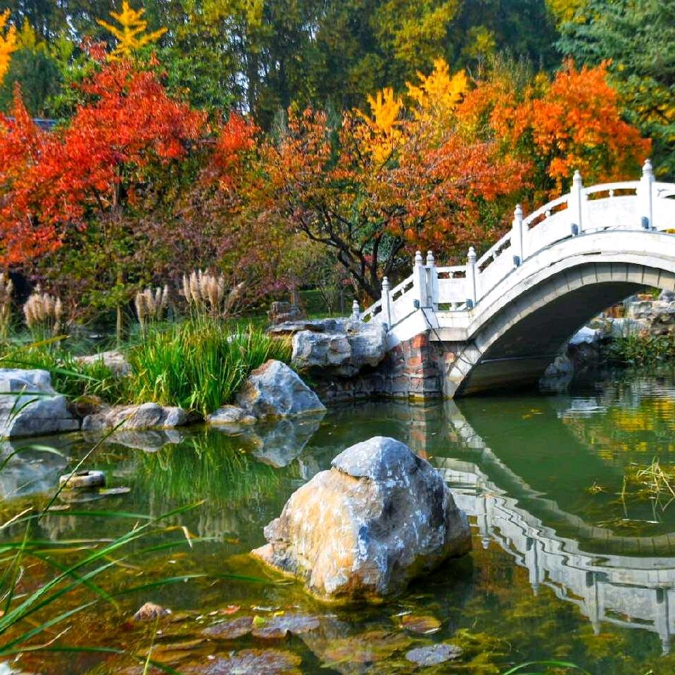 七旬视觉  自媒体