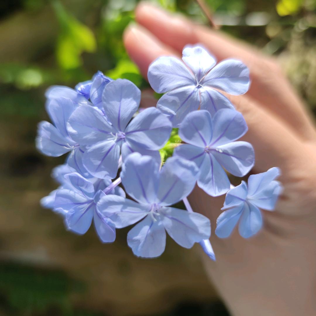 回心转意