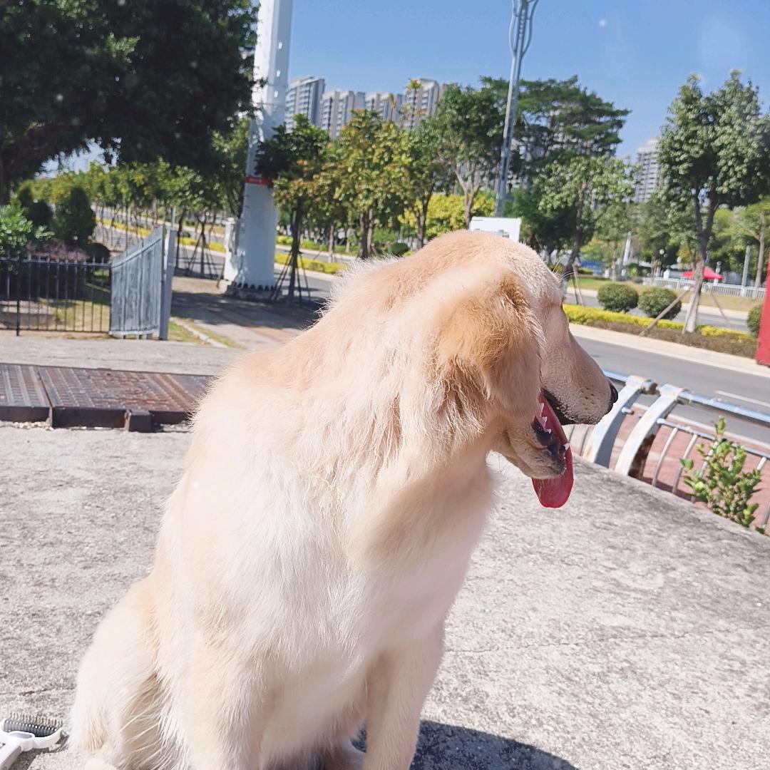 ꧁❦༺幻༒灭༻❦꧂