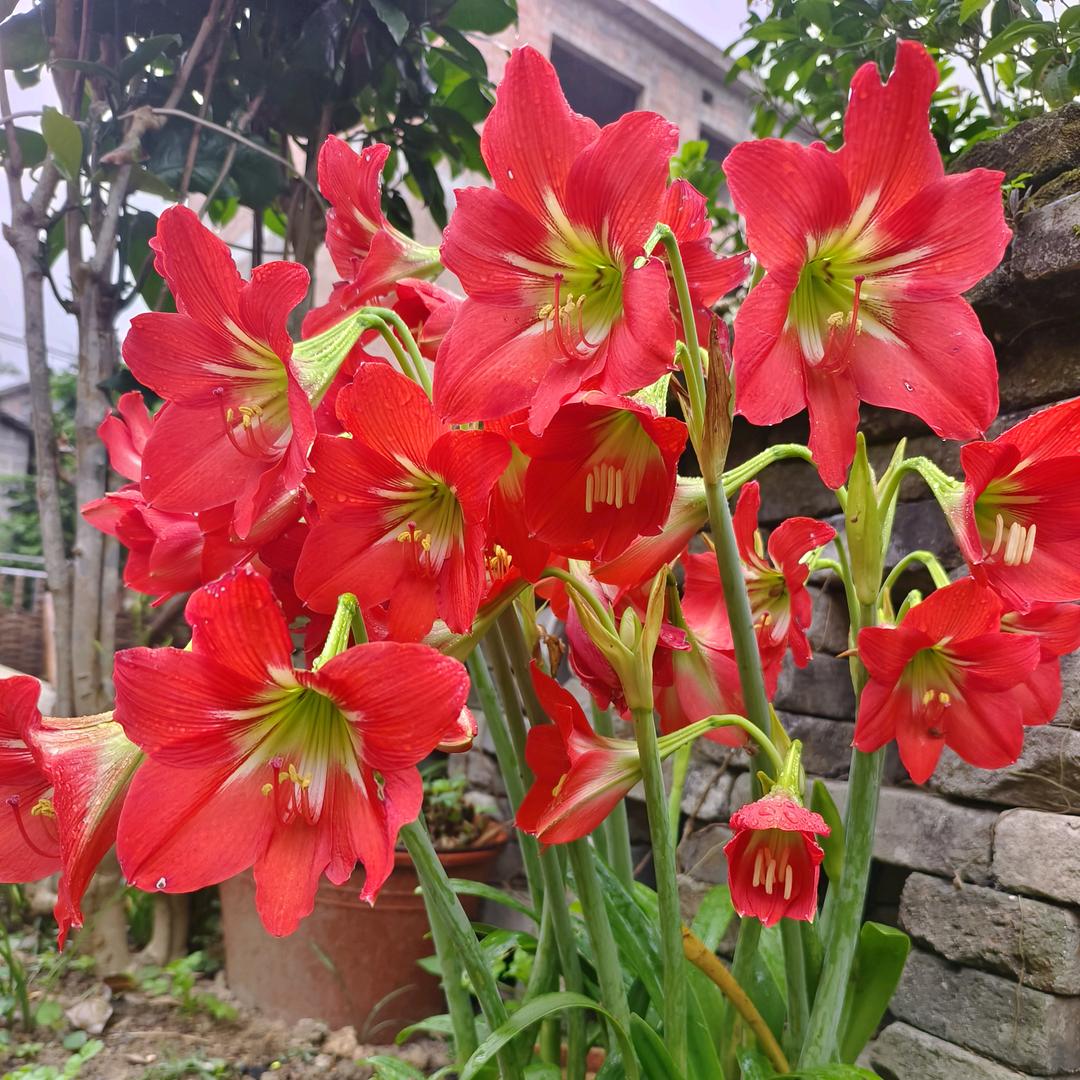 每天都在努力的路上