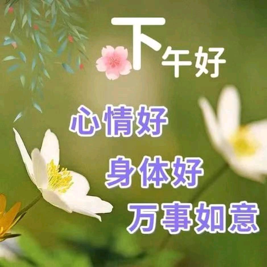 佪忆ベ緈鍢