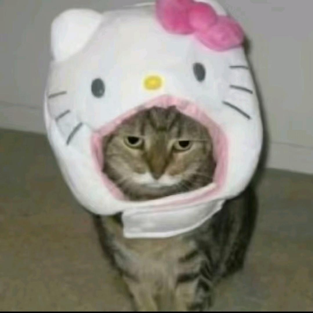 无敌暴龙铠甲肌肉猛男