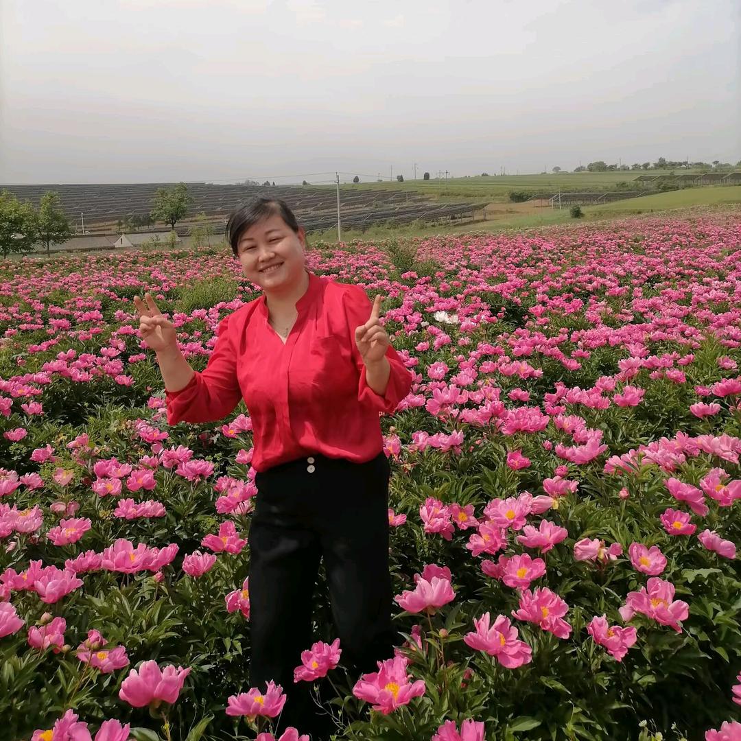 蓝莲花开