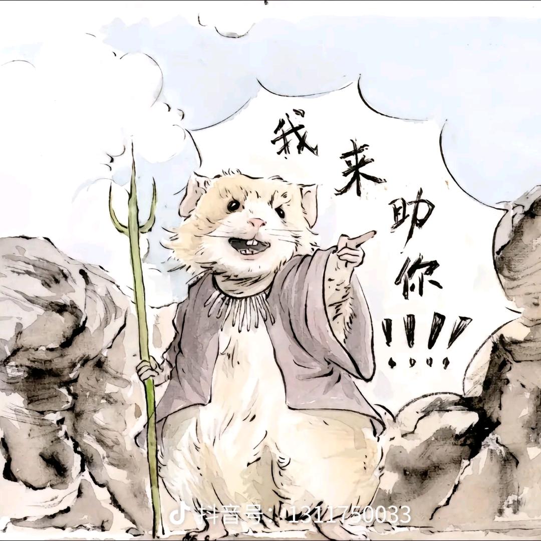 豹豹想买双abibas和niko的联名鞋