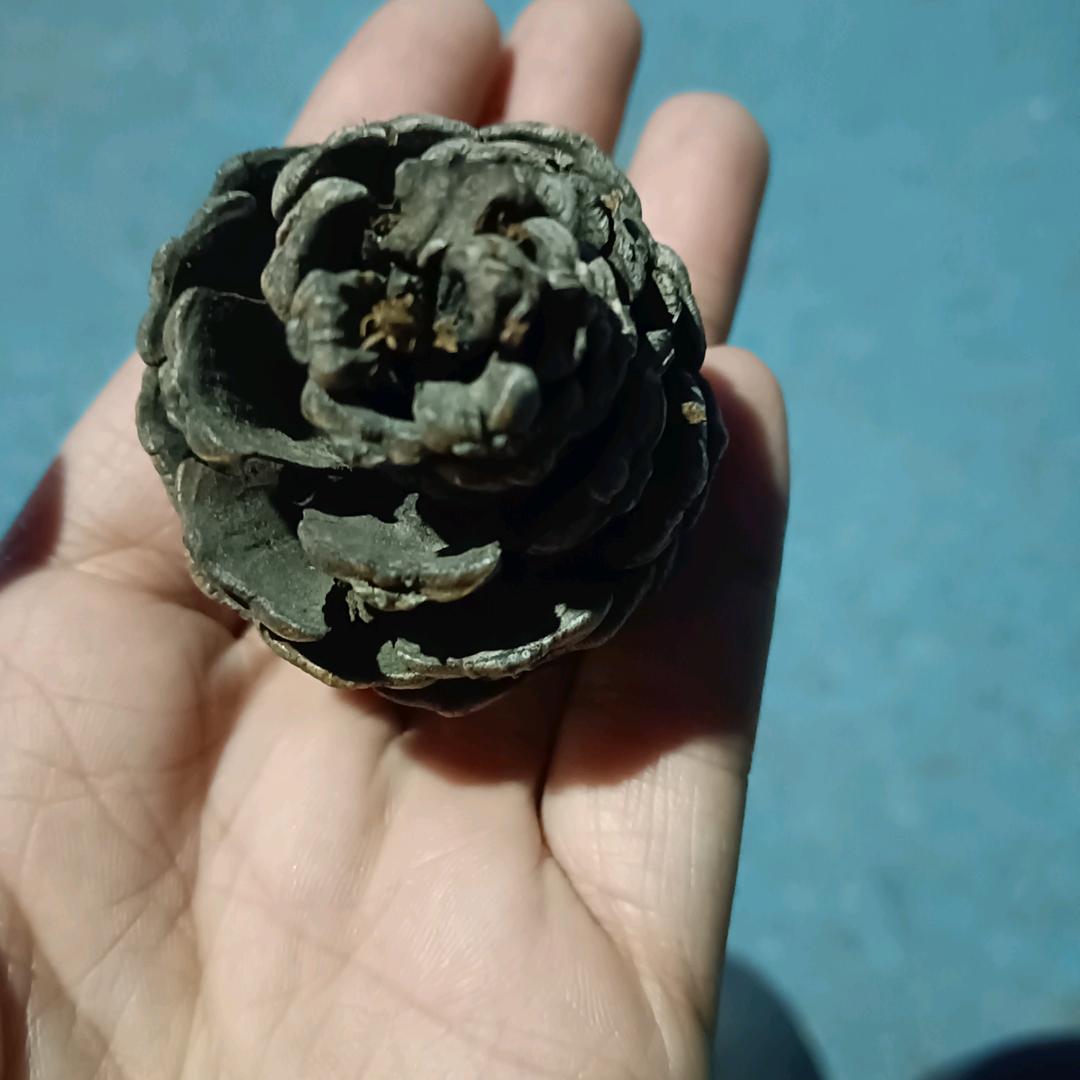 ☀ 倩倩丫头🤭