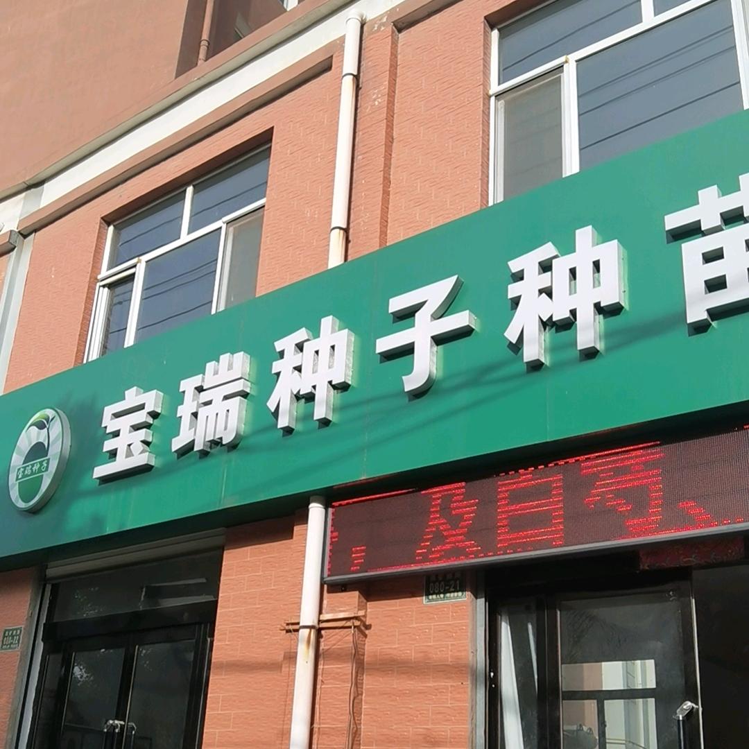 种籽先生