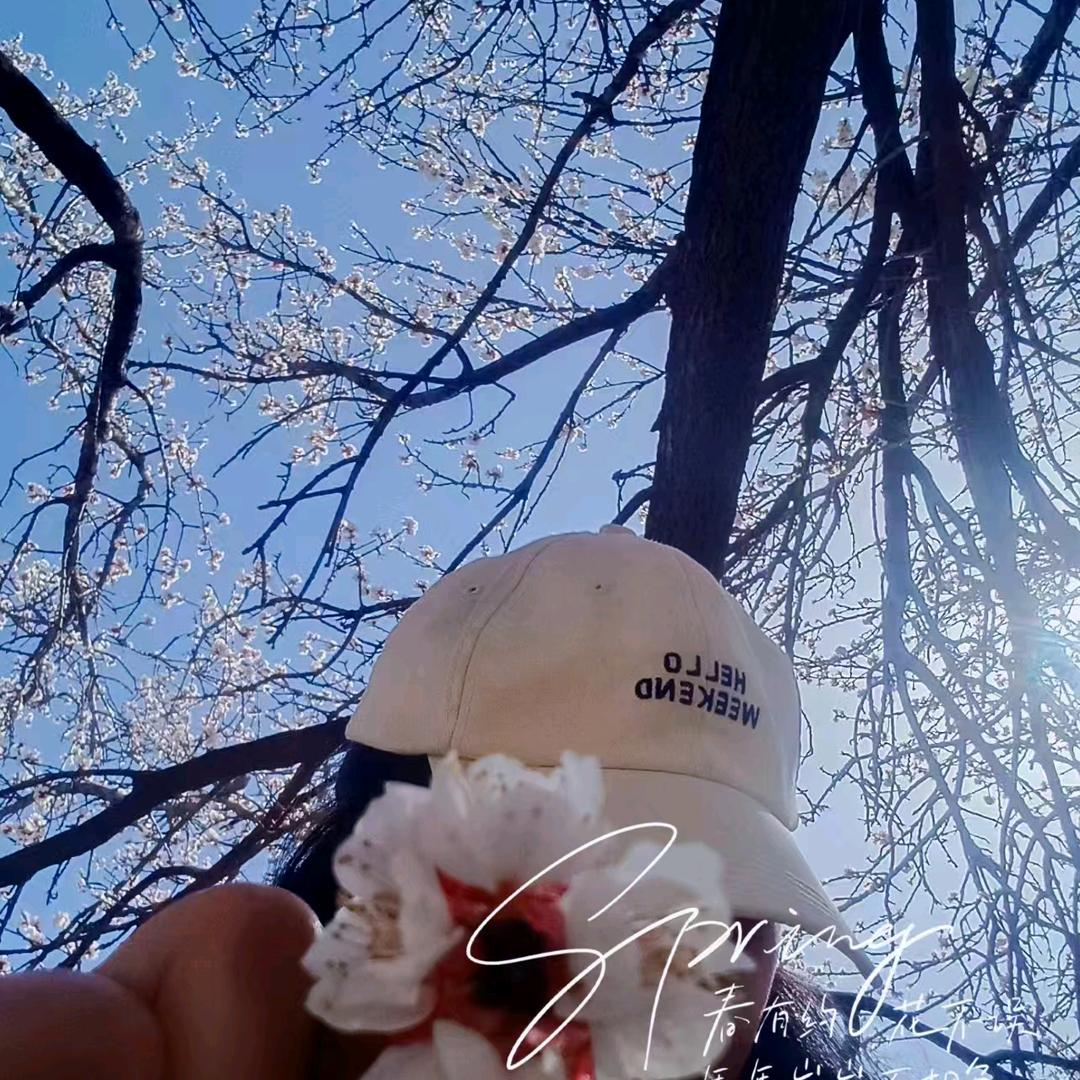 老大