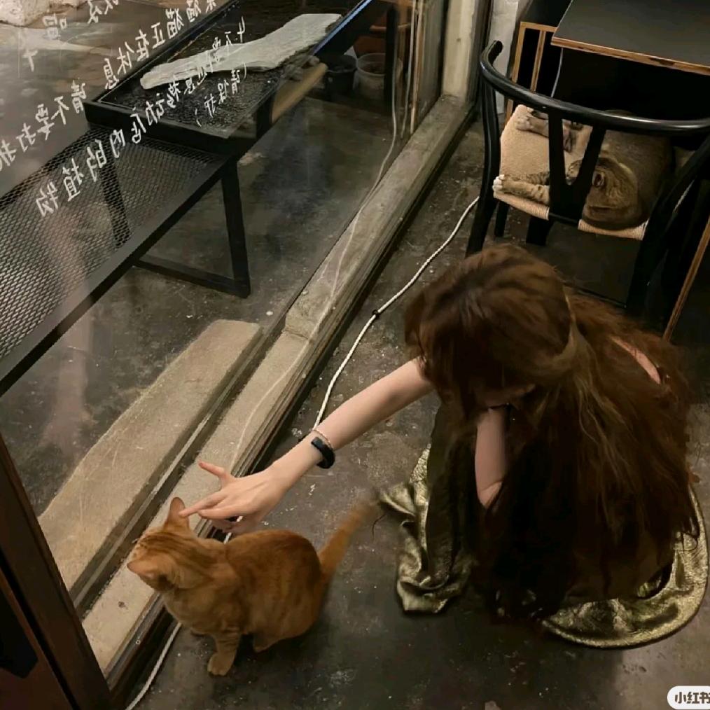 摄像大机💞