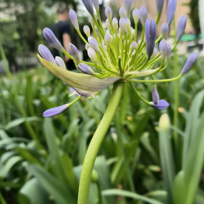 海口秀英区督卓文商