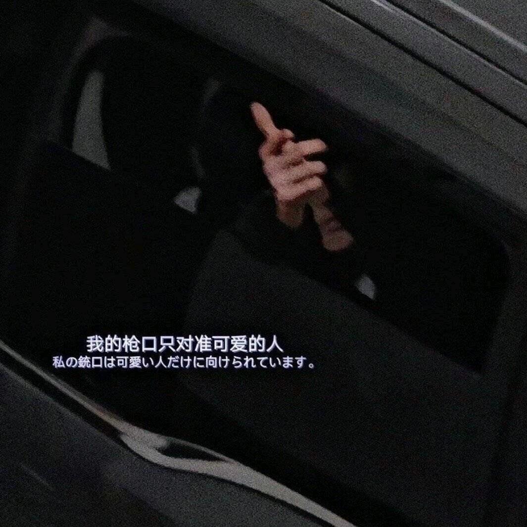 小猫不可以上船