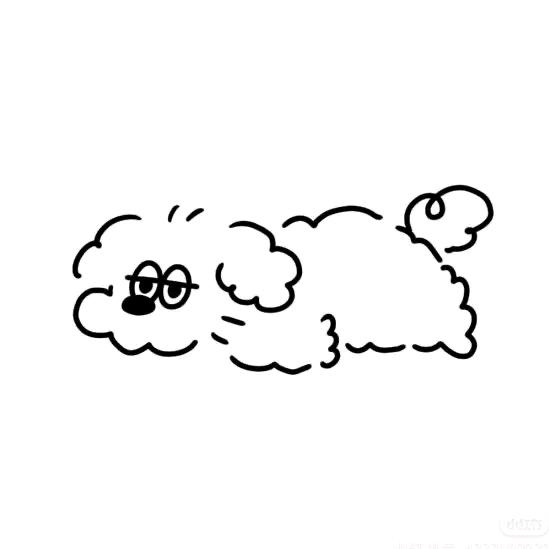 𝘼𝙪𝙧𝙤𝙧𝙖