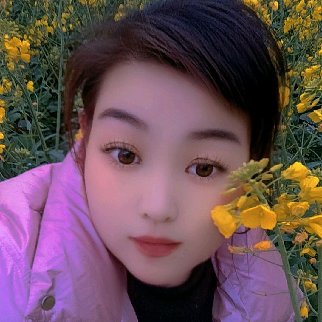 凤凰